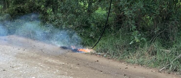 Cable caído provocando incendio forestal