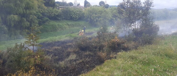 Incendio forestal