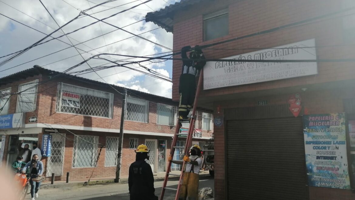 Apoyo a empresa de telefonía