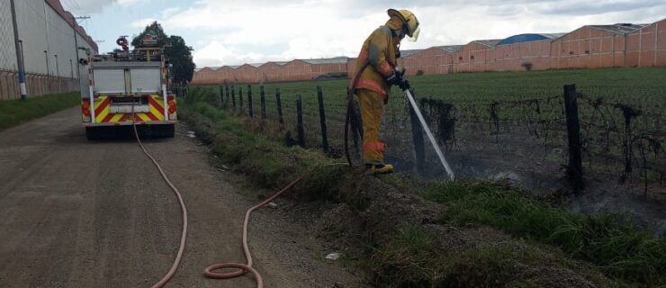 Incendio forestal