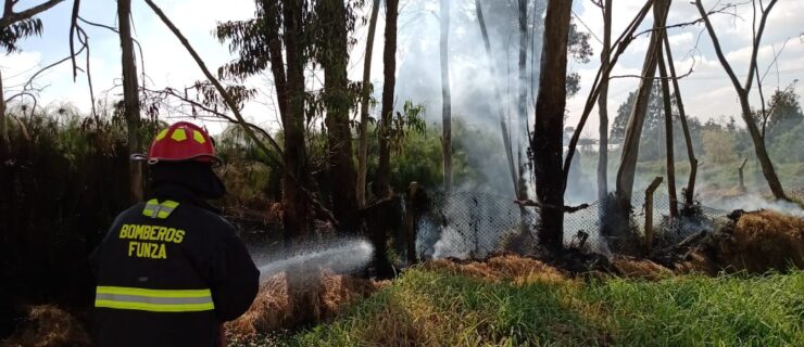 Incendio forestal